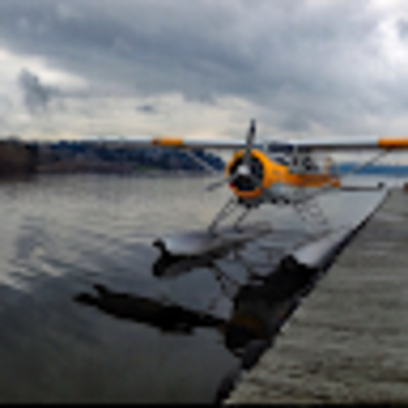 Meet your Posher, Ryan - Picture 1 of 1